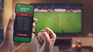 Discover the Exciting World of Viva Bet 12
