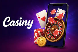 Discover the Benefits of the Casiny VIP Program 9 Discover the Benefits of the Casiny VIP Program 9