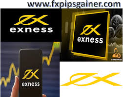 Exness Educational Resources Unleashing Your Trading Potential